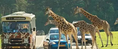 🦓🦒 Eintritt in Safaripark Beekse Bergen (NL) + ÜN mit Frühstück ab 100€ p.P.