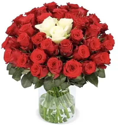 🌹 47 rote Rosen + 3 weiße Rosen im Strauß für 34,39€ (statt 46€)