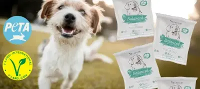 🐕 Geht noch! Veganum: Kostenlose vegane Hundefutterprobe anfordern
