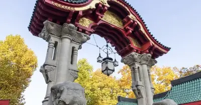 🐼🐘 Berliner Zoo inkl. Hotel mit Frühstück ab 70€ p.P.