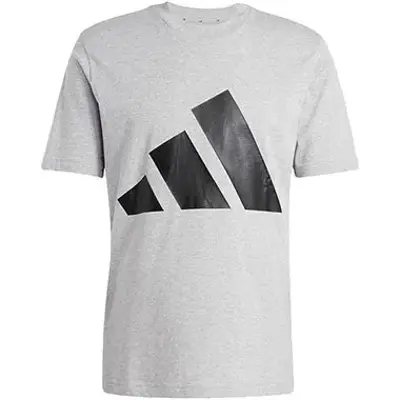👕 adidas Essentials Big Logo Single Jersey Tee T-Shirt ab 11€ (statt 24€)