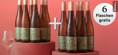 🍷 WEINFREUNDE: 12 Flaschen Wein bekommen & nur 6 bezahlen
