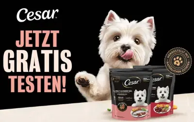 🐕 CESAR® Hunde-Trockenfutter gratis ausprobieren