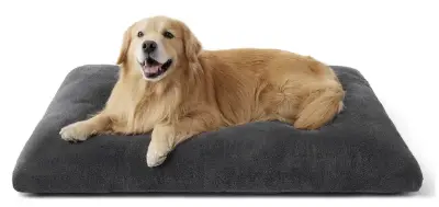 🐶 Bis 45% auf Bedsure Hundebetten mit Plüschpolsterung z.B. 119×74 für 21,99€ (statt 40€)