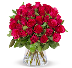 BlumeIdeal: 50 Rote Rosen (ca. 40 -50cm Stiellänge) für 29,98€