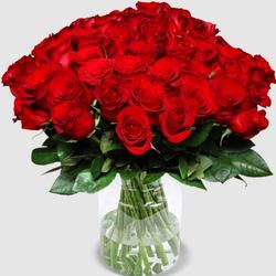 Blume Ideal: 44 Rosen „Classic Red“ (40cm) für 32,98€