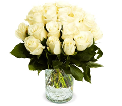 50 weiße Rosen (40cm) für 32,48€