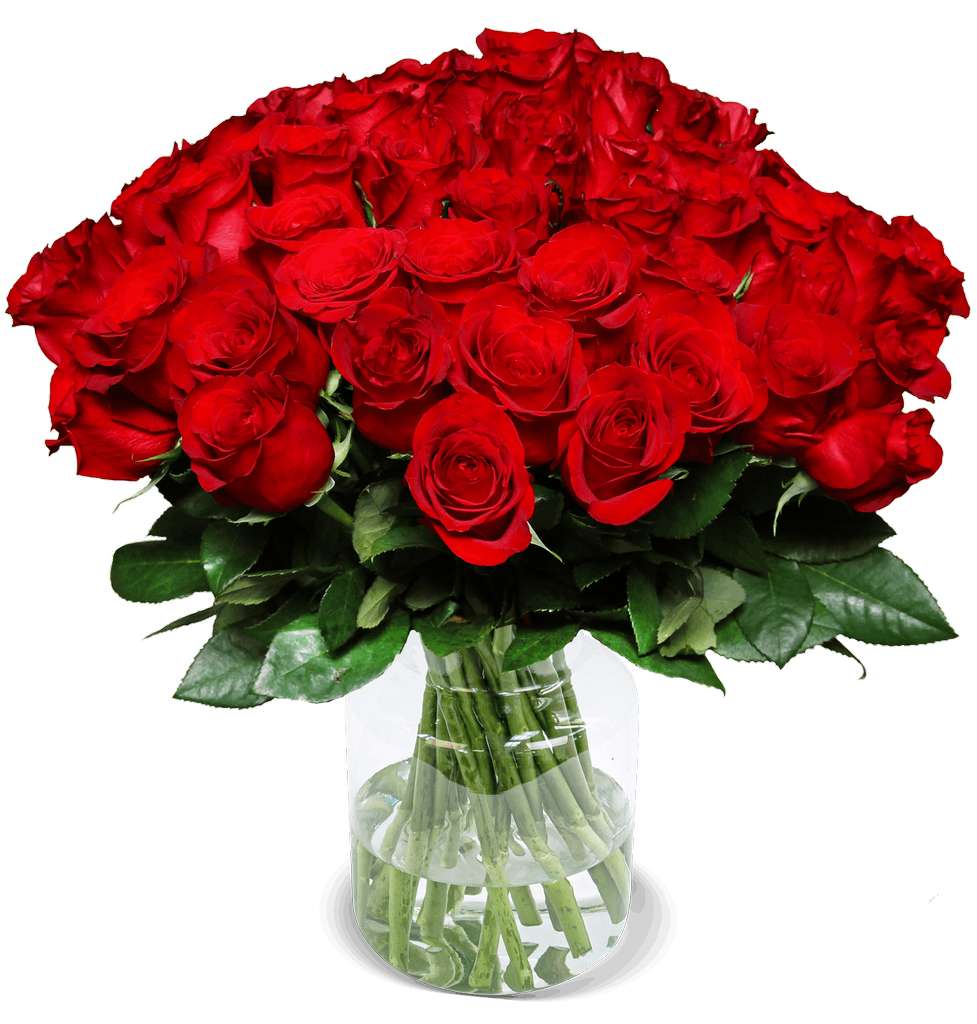 Blume Ideal: Rosenstrauß ClassicRed mit 44 roten Rosen für 29,48€