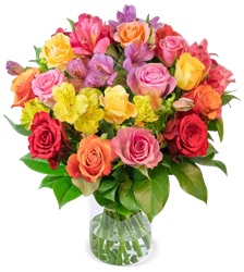 Blume Ideal: Blumenstrauß Rosenglück mit bis zu 40 Blüten für 27,98€