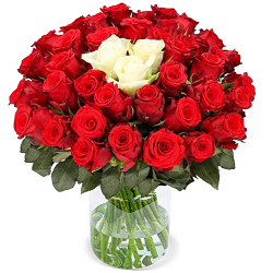 Blume Ideal: Rosenstrauß Sweetheart mit 50 Rosen in Rot und Weiß für 35,48€
