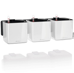 Lechuza Pflanzentöpfe Green Wall Home Kit für 35,04€ (Vergleich: 79,99€)