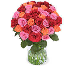Blume Ideal: Blumenstrauß „Autumn Vibes“ mit 44 Rosen für 29,48€