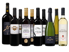 Die Weinbörse: Weihnachtspaket mit 10 Flaschen Wein für 44,99€ (statt 79,94€)