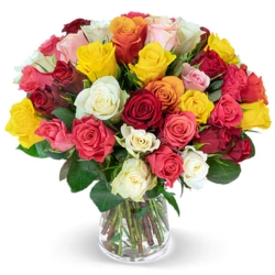 Blume Ideal: 60 „bunte Rosen“ für 29,98€