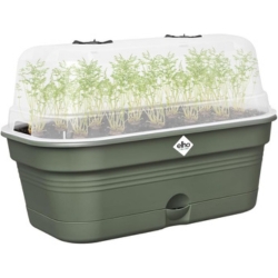 elho Green Basics All-in-One Anzuchtset, 32cm für 13,52€ (VG: 21,55€)