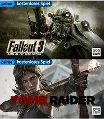 Amazon Prime Gaming: gratis Spiele – z.B. Fallout 3: Game of the Year Edition