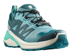 Salomon X Adventure GTX Damen Trailrunningschuhe für 70,98€ (Vergleich: 97,97€)