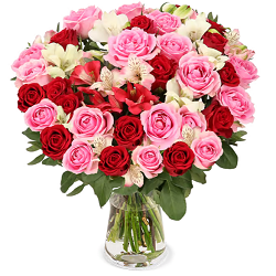 Blume Ideal: Blumenstrauß Rosenwunder mit Rosen, Inkalilien und Pistacia für 27,48€