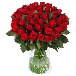 50 rote Rosen, 40 – 50 cm Länge für 32,48€