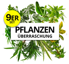 PflanzePlus: 9er-Set Pflanzenüberraschung (40-70cm, 12-15cm Topf) für 34,48€