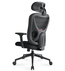 Eucladoceros ergonomischer Bürostuhl für 89,99€