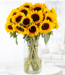 Blumenshop: Blumenstrauß mit 20 Sonnenblumen für 28,90€ (statt 50,90€)