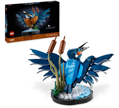 LEGO iCONS – Eisvogel (10331) für 31,95€ (Vergleich: 37,08€)