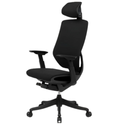 Flexispot BS12 Pro Bürostuhl mit dynamischer Rückenlehne für 299,99€ (statt 469,99€)