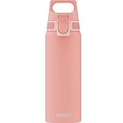 SIGG Edelstahl Trinkflasche Shield ONE (0,75 Liter) für 16,90€ (Vergleich: 24,95€)