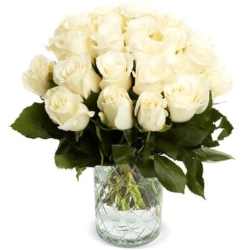 Blume Ideal: Rosenstrauß mit 44 weißen Rosen für 27,48€