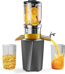 Fyenkfar ENTSAFTER für 74,99 €