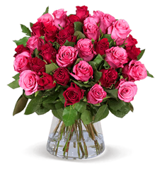 44 Rosen „RomanticRoses“ für 27,48€