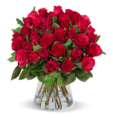 50 rote Rosen (40-50cm) für 22,99€ zzgl. 7,95€ Versand
