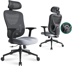 Eucladoceros Bürostuhl mit 3D-Lendenstütze für 71,99€