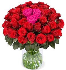 51 Rosen „Heartbeat“ für 21,99€ zzgl. 7,49€ Versand