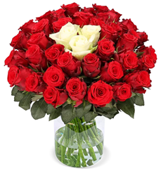 50 Rosen – „Sweetheart“ für 27,48€
