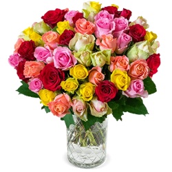 Blume Ideal: Blumenstrauß RainbowRoses mit 41 verschiedenen Rosen für 27,48€