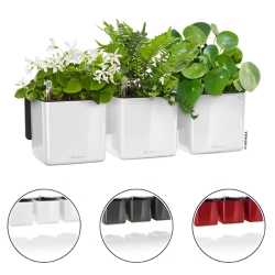 LECHUZA CUBE Glossy Green Wall Home Kit für nur 39,99€ (Vergleich: 54,69€)