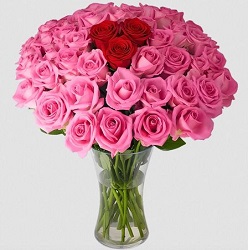 Blume Ideal: Blumenstrauß Love You XOXO mit 50 Rosen für 35,48€