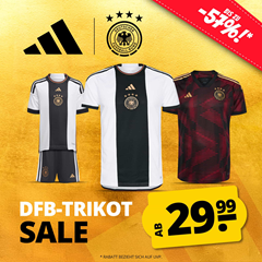 SportSpar: DFB Trikot Sale mit Trikots ab 29,99€