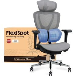 FLEXISPOT Ergonomischer Bürostuhl DualFlex für 209,99€ (Vergleich: 269,99€)