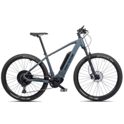 E-Mountainbike 29 Zoll RR700e (Bosch Performance CX, 545 Wh) in Grün Matt für 1.128,99€ (statt 2.199€)