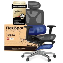 FLEXISPOT ErgoX ergonomischer Bürostuhl für 174,19€ (Vgl. 259,99€)