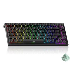 Akko TAC75 Rapid-Trigger Gaming-Tastatur (75%, Hall-Effekt, PBT) für 47,59€ (statt 54,99€)
