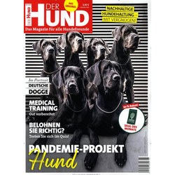 Der Hund Jahresabo für 39,40€ + Prämie im Wert von bis zu 35€